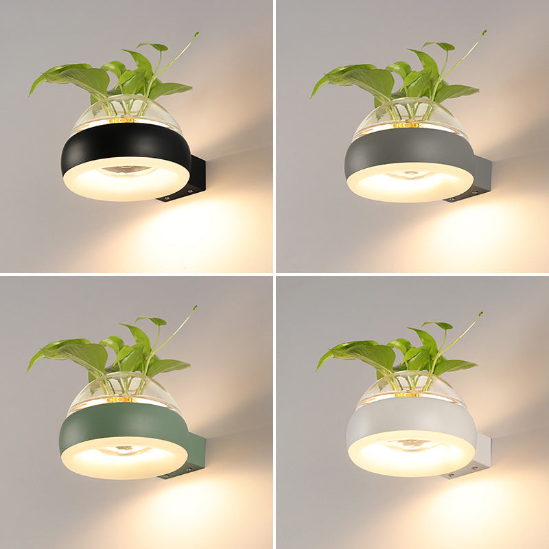 Modern Creative Plant Wall Sconce Light Glass Pot with Acrylic LED Wall Mount Lamp