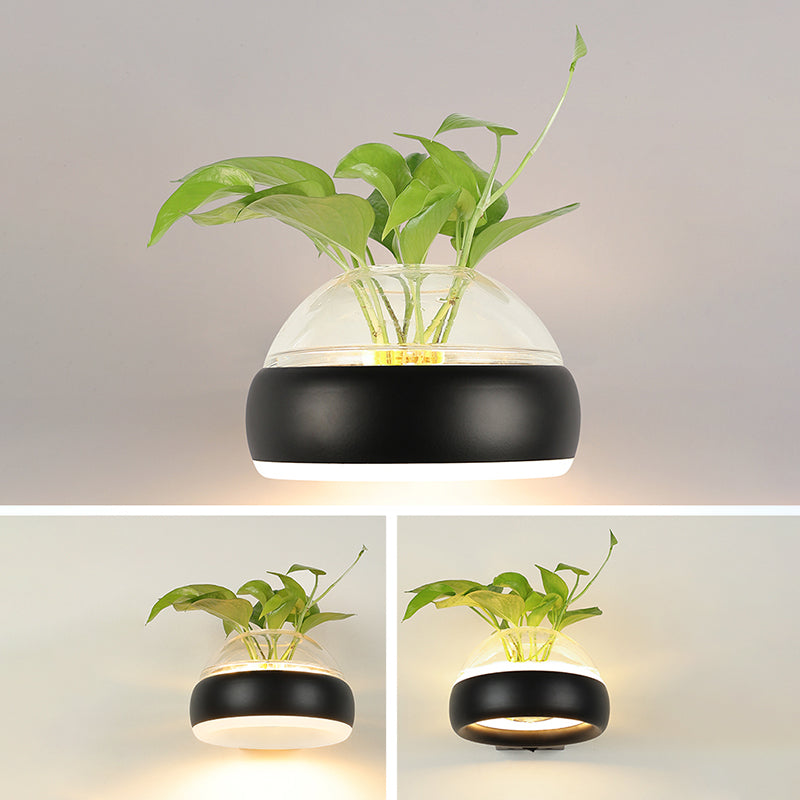 Modern Creative Plant Wall Sconce Light Glass Pot with Acrylic LED Wall Mount Lamp