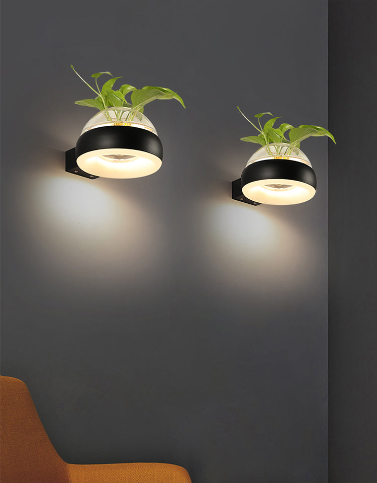 Modern Creative Plant Wall Sconce Light Glass Pot with Acrylic LED Wall Mount Lamp