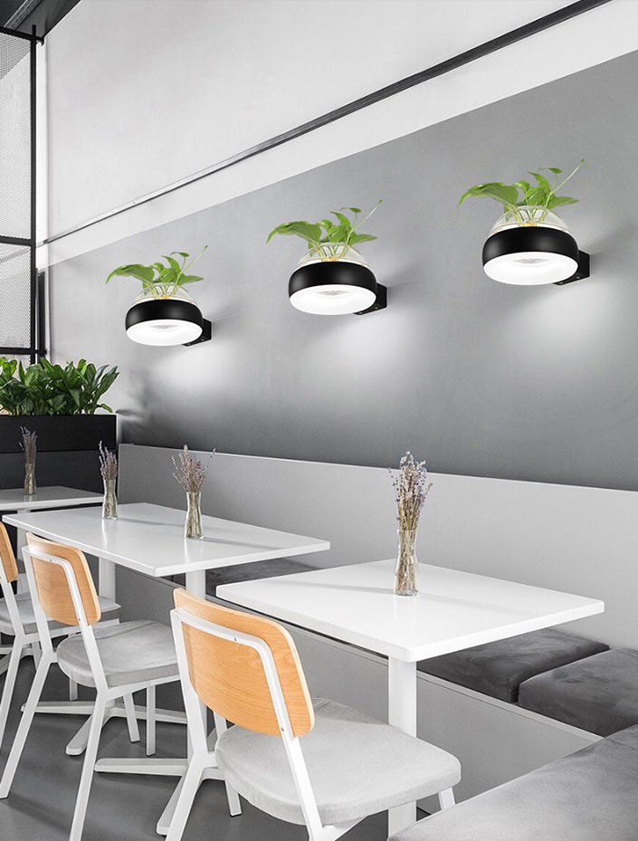 Modern Creative Plant Wall Sconce Light Glass Pot with Acrylic LED Wall Mount Lamp
