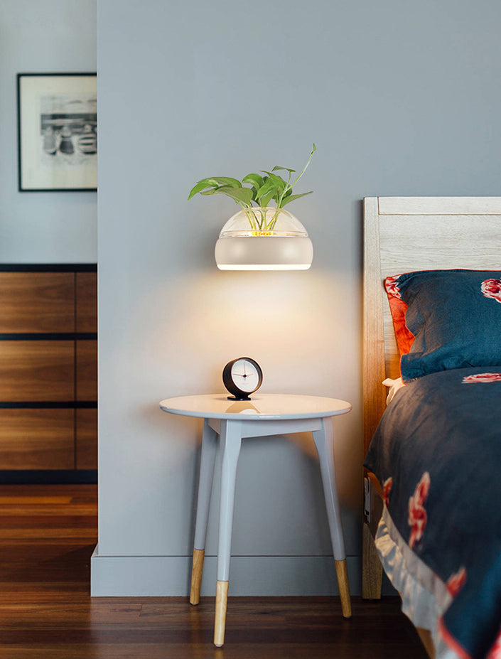 Modern Creative Plant Wall Sconce Light Glass Pot with Acrylic LED Wall Mount Lamp