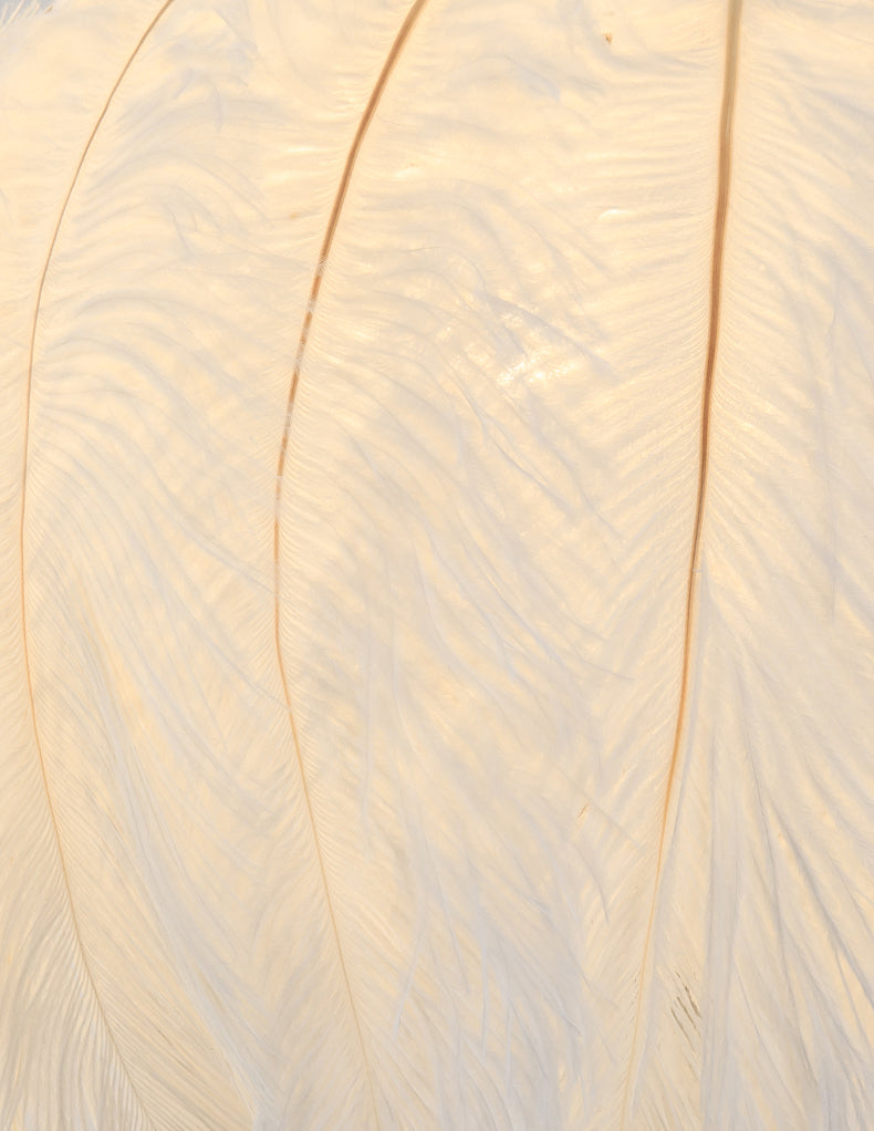 Nordic Feather Wall Mount Light 1 Light Ambient Lighting Wall Lamp for Bedroom