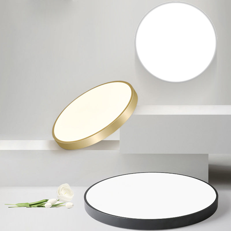 Simplicity Style Acrylic Lampshade LED Flush Mount Light Round Metal Border Ceiling Light for Hallway Balcony