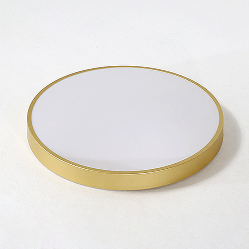 Simplicity Style Acrylic Lampshade LED Flush Mount Light Round Metal Border Ceiling Light for Hallway Balcony