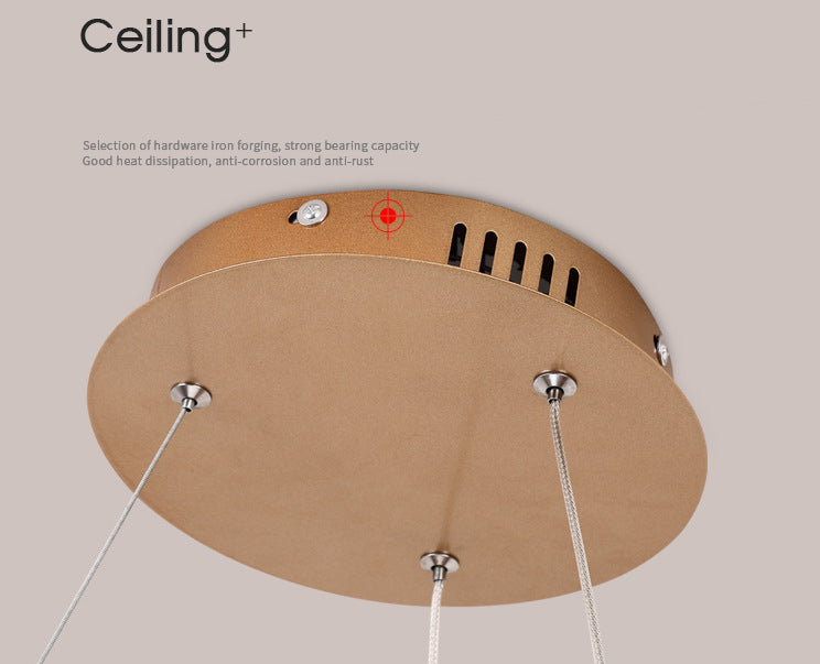 Multiple Rings Chandelier Light Fixture Designer Modern Simplicity Metal Pendant Lighting for Restaurant