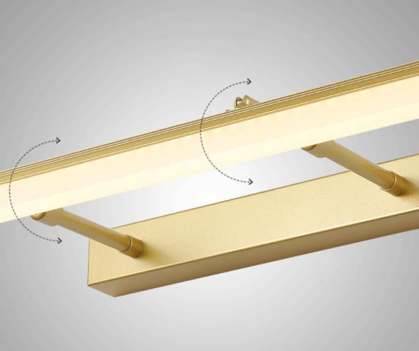 Luce Extravagant Linear Vanity Fishestures Acrilic Vanity Sconce