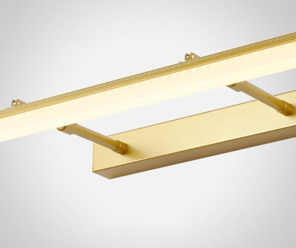 Luce Extravagant Linear Vanity Fishestures Acrilic Vanity Sconce