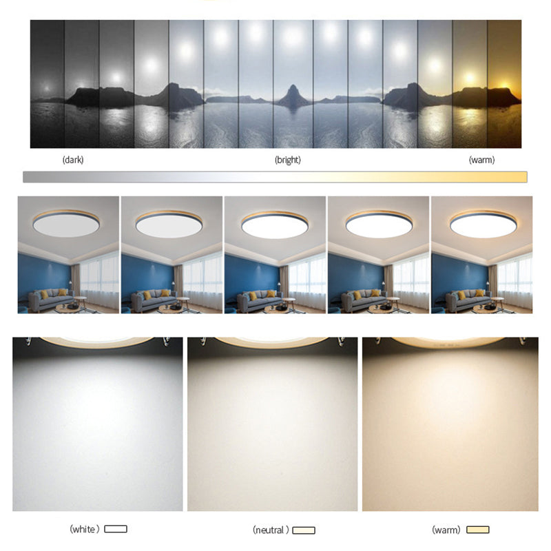 Ultrathin Round Hallway Flush Light Fixture Acrylic LED Macaron Ceiling Mounted Lamp