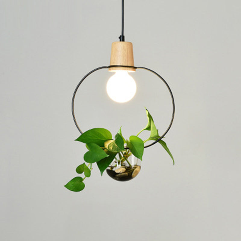 Lampada a sospensione con soffitto ad anello in metallo geometrico moderno 1 lampada da interno appesa alla luce senza botanica