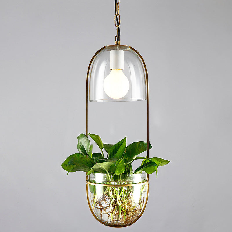 Luz de techo colgante Luz de techo de la sala de estar de loft con sombra de metal ovalado en oro (entrega sin plantas)