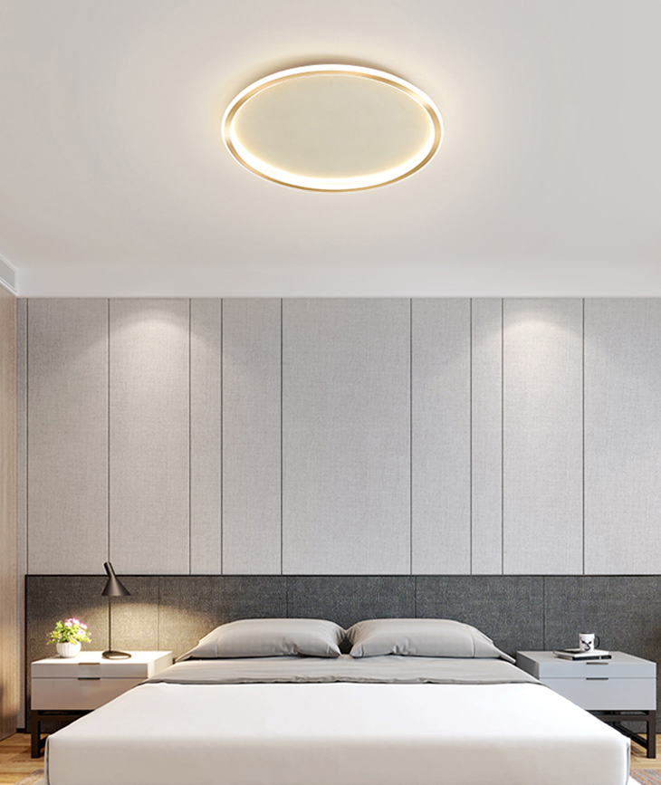 Circular Flush Mount Light Fixtures Modern Aluminum Flushmount