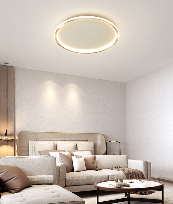 Circular Flush Mount Light Fixtures Modern Aluminum Flushmount