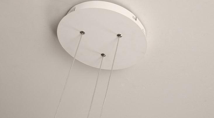 Lámpara de colgación de led de flores simplicidad acrílico comedor lineal encosnedora