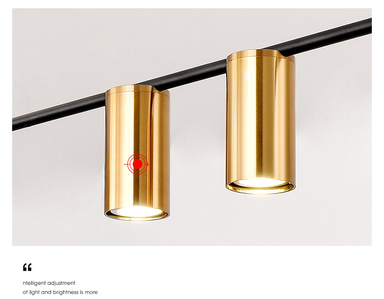 Cilindri della metà del secolo Luci lampadari dell'isola illuminazione isola metallica