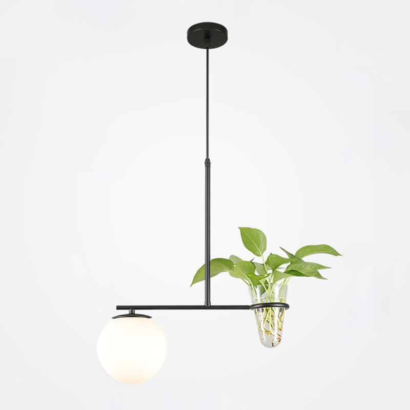 1 Light Hydroponics Botany Pendant Light moderne moderne Minimaliste en verre sphérique Salle de restauration
