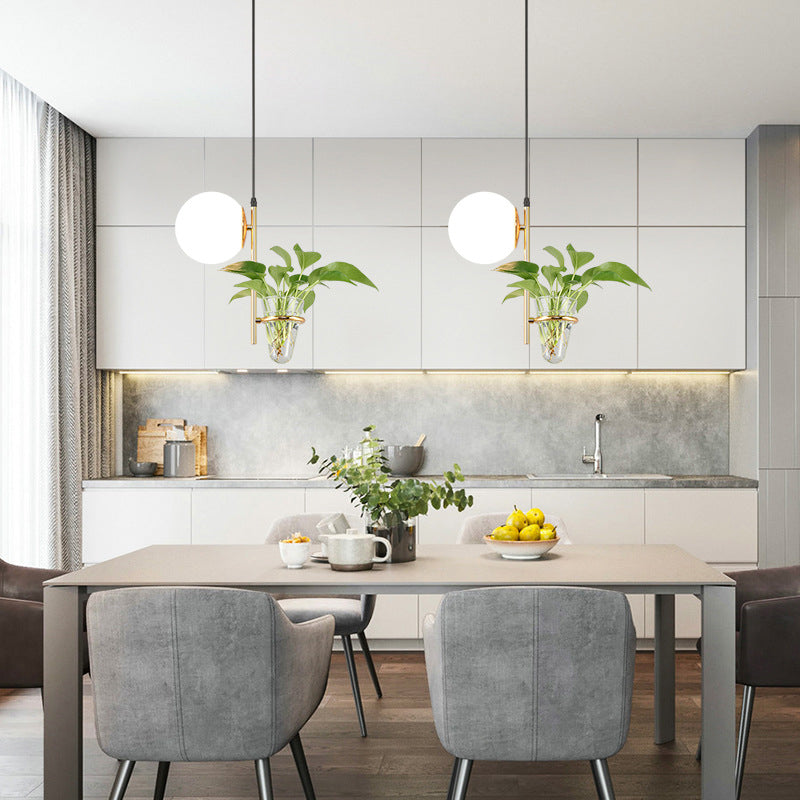 1 Light Hydroponics Botany Pendant Light moderne moderne Minimaliste en verre sphérique Salle de restauration