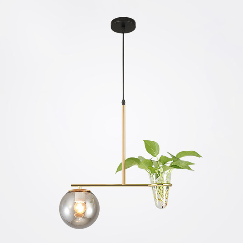 1 Light Hydroponics Botany Pendant Light moderne moderne Minimaliste en verre sphérique Salle de restauration