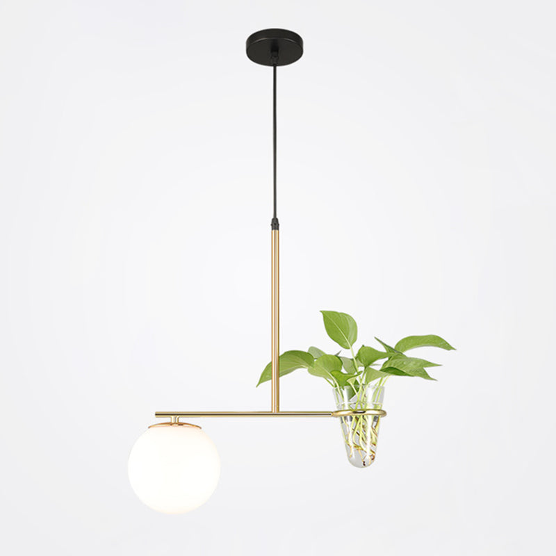 1 Light Hydroponics Botany Pendant Light moderne moderne Minimaliste en verre sphérique Salle de restauration