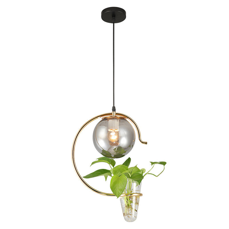 1 Light Hydroponics Botany Pendant Light moderne moderne Minimaliste en verre sphérique Salle de restauration