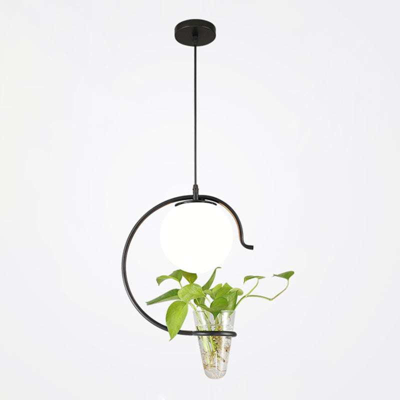 1 Light Hydroponics Botany Pendant Light moderne moderne Minimaliste en verre sphérique Salle de restauration