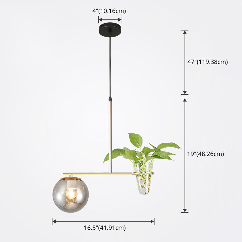1 Light Hydroponics Botany Pendant Light moderne moderne Minimaliste en verre sphérique Salle de restauration