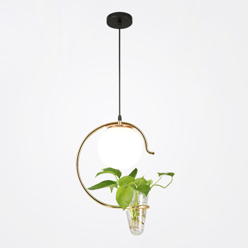 1 Light Hydroponics Botany Pendant Light moderne moderne Minimaliste en verre sphérique Salle de restauration