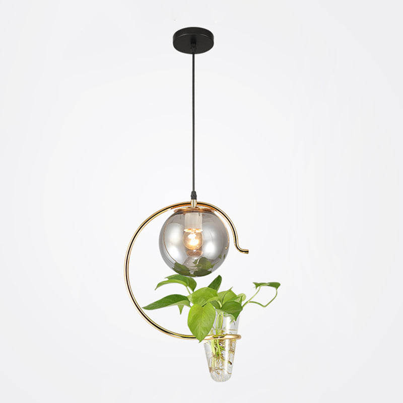 1 Light Hydroponics Botany Pendant Light moderne moderne Minimaliste en verre sphérique Salle de restauration