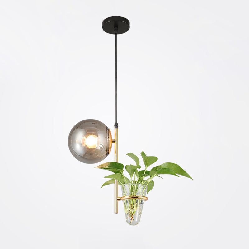 1 Light Hydroponics Botany Pendant Light moderne moderne Minimaliste en verre sphérique Salle de restauration