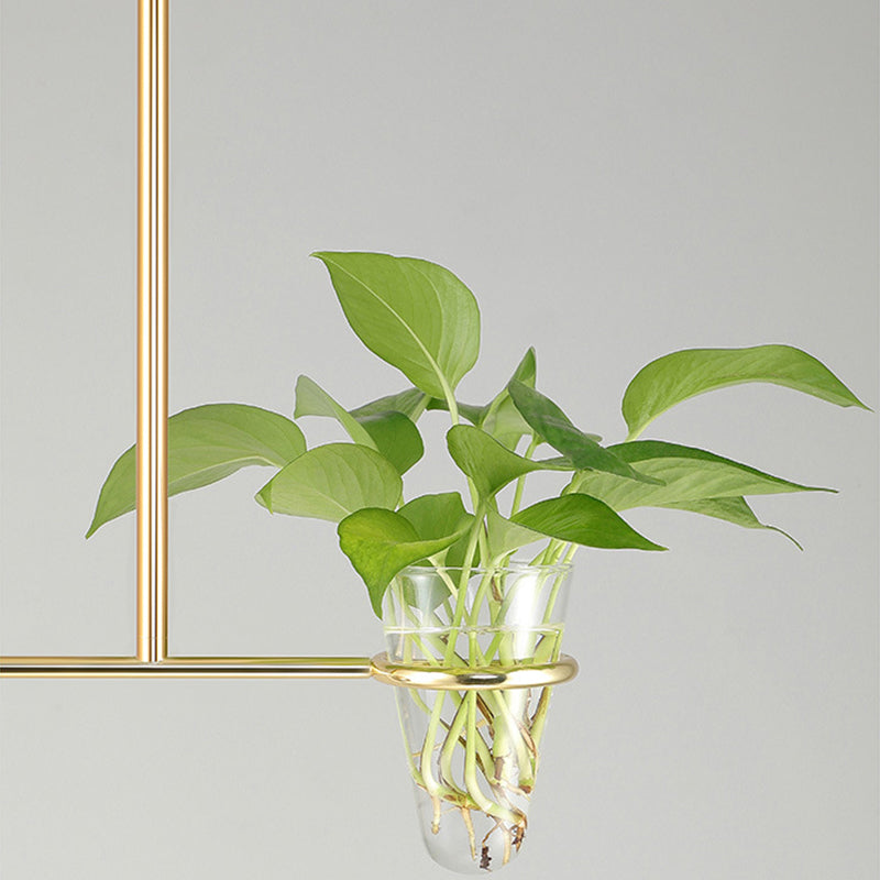 1 Light Hydroponics Botany Pendant Light moderne moderne Minimaliste en verre sphérique Salle de restauration