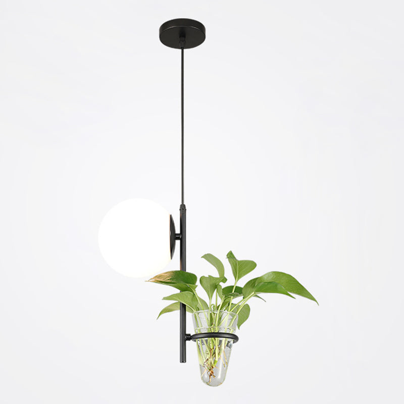 1 Light Hydroponics Botany Pendant Light moderne moderne Minimaliste en verre sphérique Salle de restauration