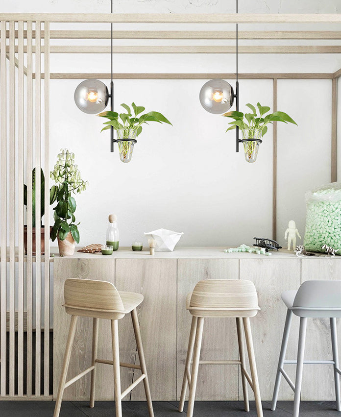 1 Light Hydroponics Botany Pendant Light moderne moderne Minimaliste en verre sphérique Salle de restauration