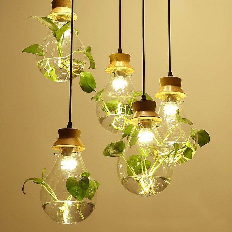 Contemporary Design Bulb Glass Shade Hanging Lamp Hydroponics Plant Drop Pendant for Coffee Shop