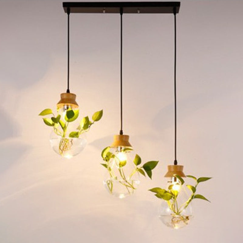 Contemporary Design Bulb Glass Shade Hanging Lamp Hydroponics Plant Drop Pendant for Coffee Shop