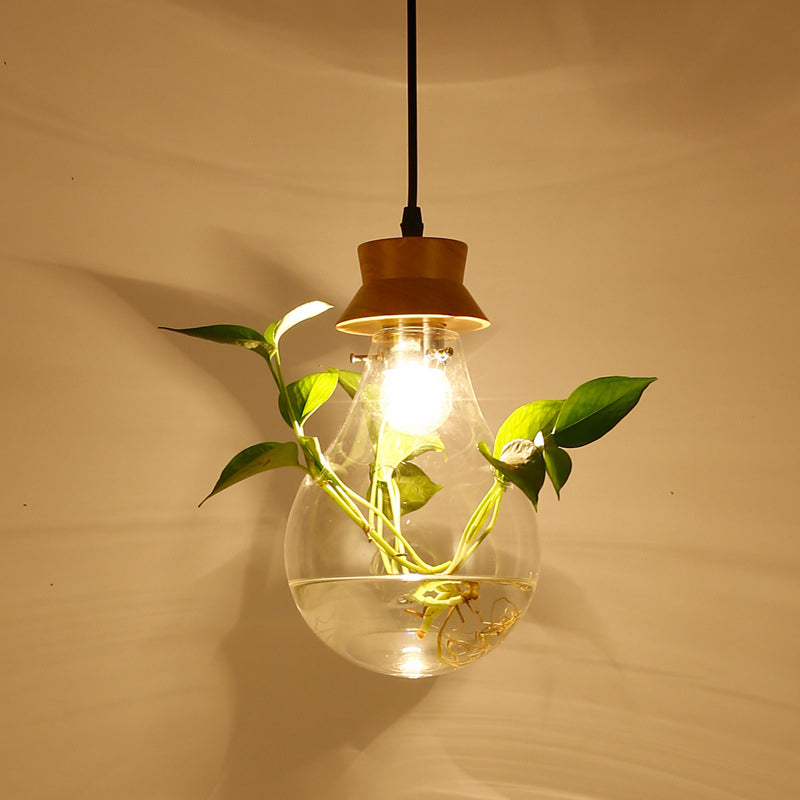 Contemporary Design Bulb Glass Shade Hanging Lamp Hydroponics Plant Drop Pendant for Coffee Shop