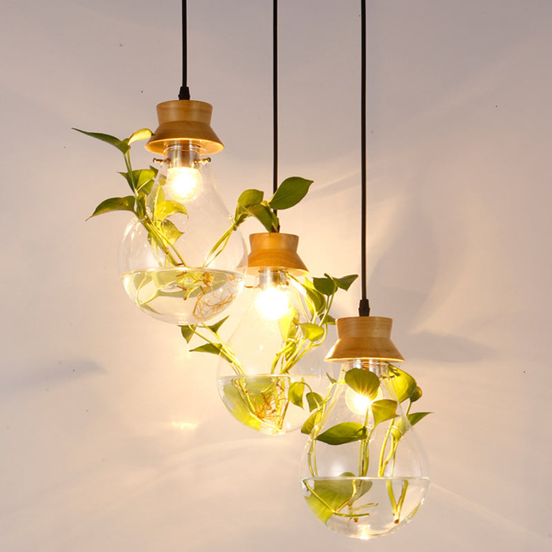 Contemporary Design Bulb Glass Shade Hanging Lamp Hydroponics Plant Drop Pendant for Coffee Shop