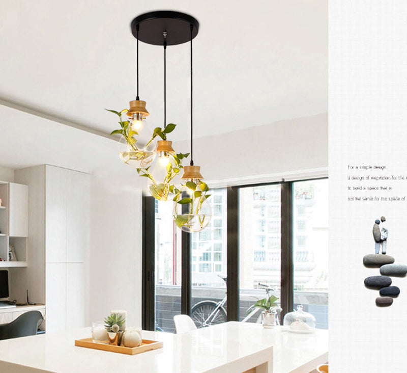 Contemporary Design Bulb Glass Shade Hanging Lamp Hydroponics Plant Drop Pendant for Coffee Shop