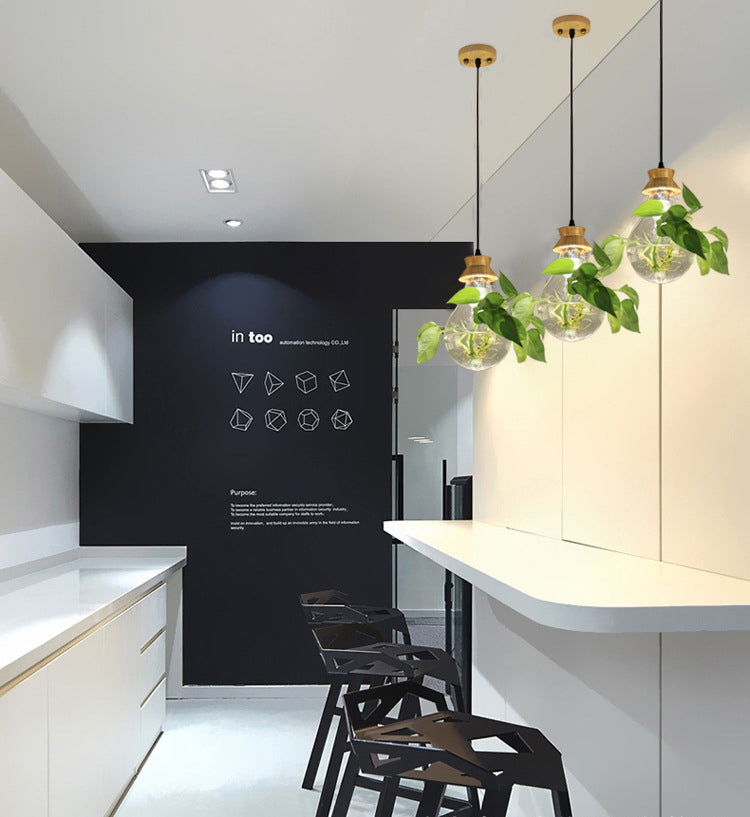 Contemporary Design Bulb Glass Shade Hanging Lamp Hydroponics Plant Drop Pendant for Coffee Shop