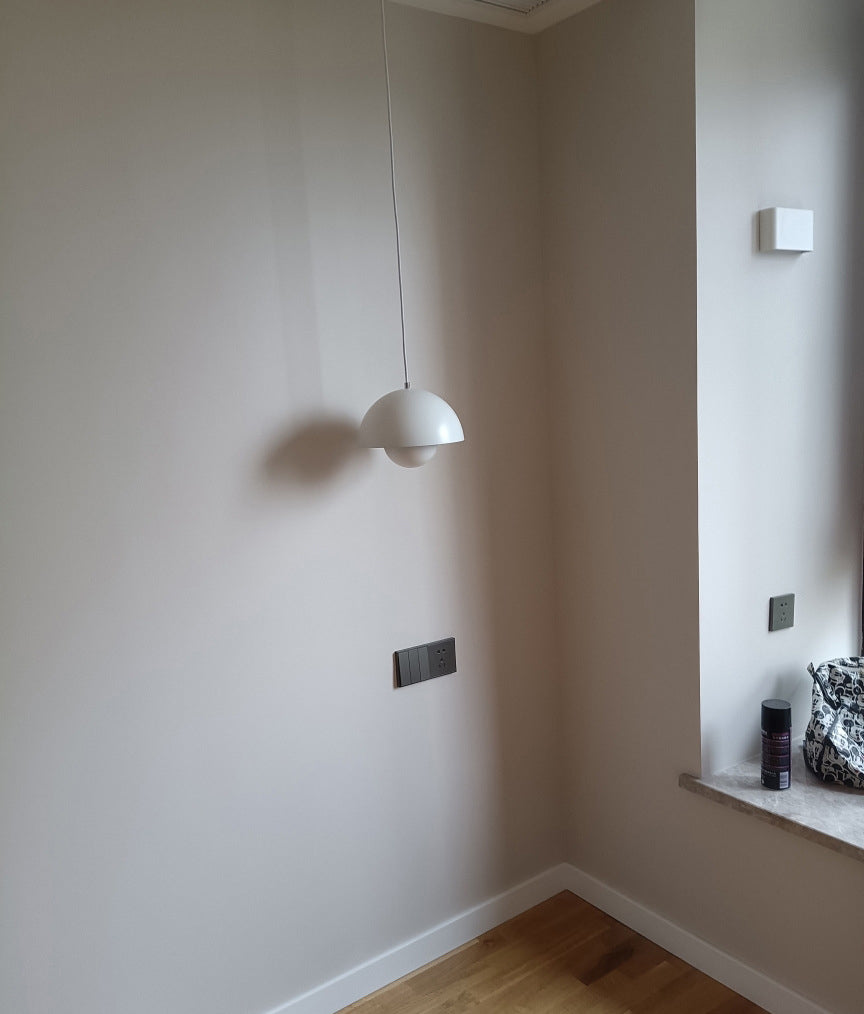 Modern Globe Pendant Ceiling Lights 1 Light Pendant with Stainless Steel Shade for Bedroom