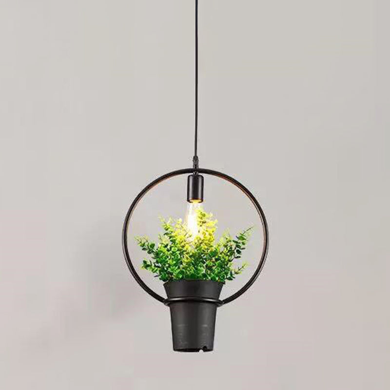 1 Light Pendelleuchte Leuchte Industrial Metall Hanging Pendelleuchte mit Pflanzen für das Restaurant