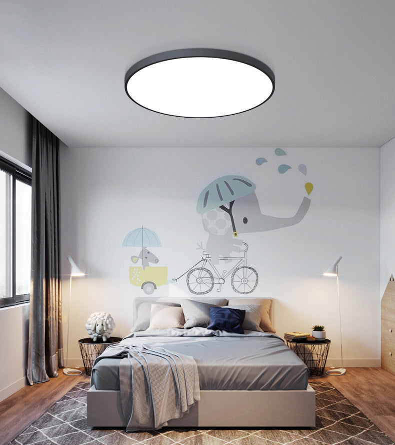 Modern Flush Mount Ceiling Lighting Fixture Acrylic Flushmount
