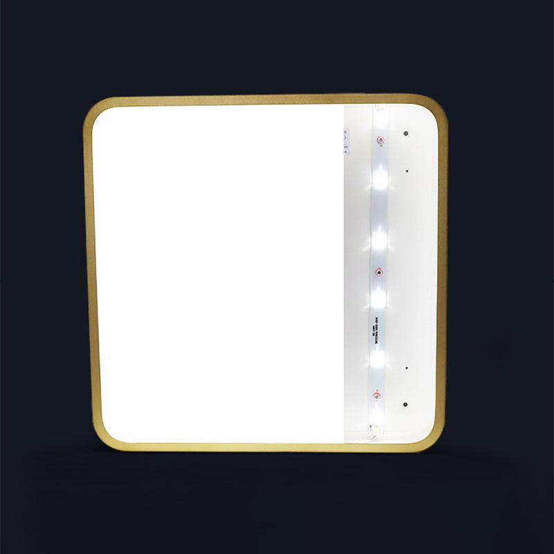 Modern Led Flush Mount Light Fixture Acrylic Flush Light