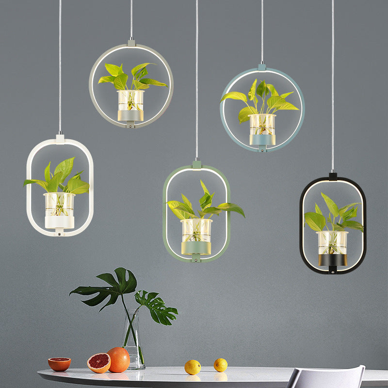 Modern Metal Hanging Lamp 1 Light Pendant Light for Dining Table (without plants)
