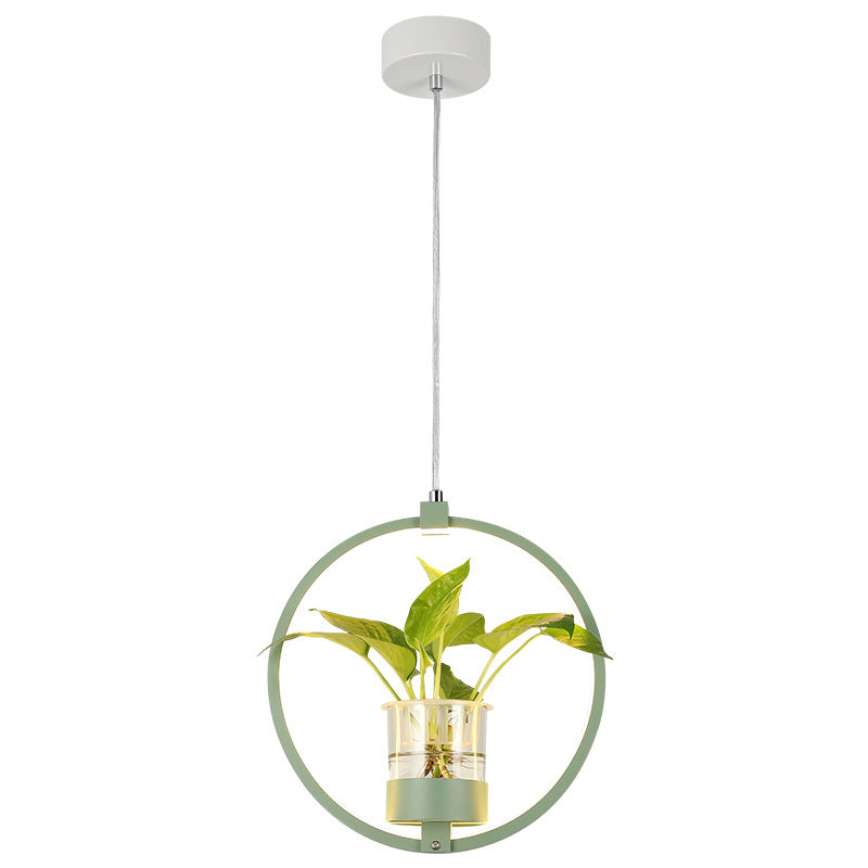 Modern Metal Hanging Lamp 1 Light Pendant Light for Dining Table (without plants)