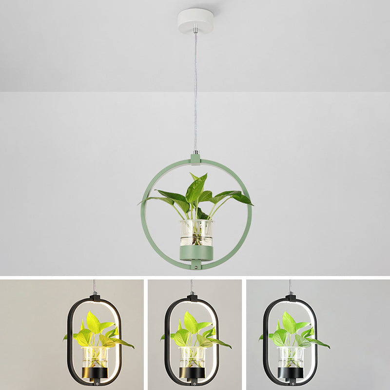 Modern Metal Hanging Lamp 1 Light Pendant Light for Dining Table (without plants)