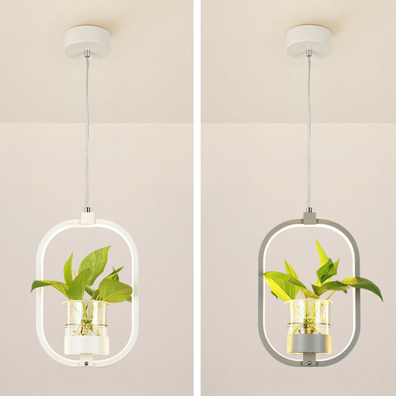 Modern Metal Hanging Lamp 1 Light Pendant Light for Dining Table (without plants)