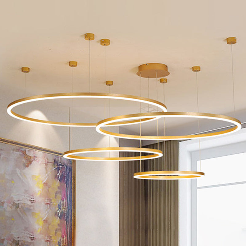 Modern Orbicular Pendant Lighting Fixtures Metal Pendant Chandelier