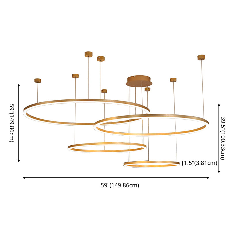 Modern Orbicular Pendant Lighting Fixtures Metal Pendant Chandelier