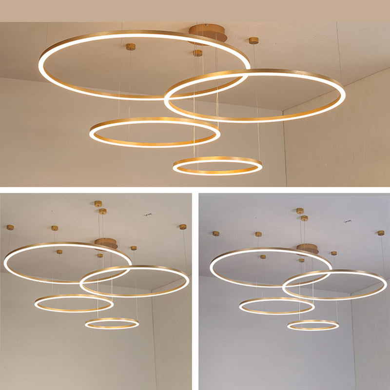 Modern Orbicular Pendant Lighting Fixtures Metal Pendant Chandelier