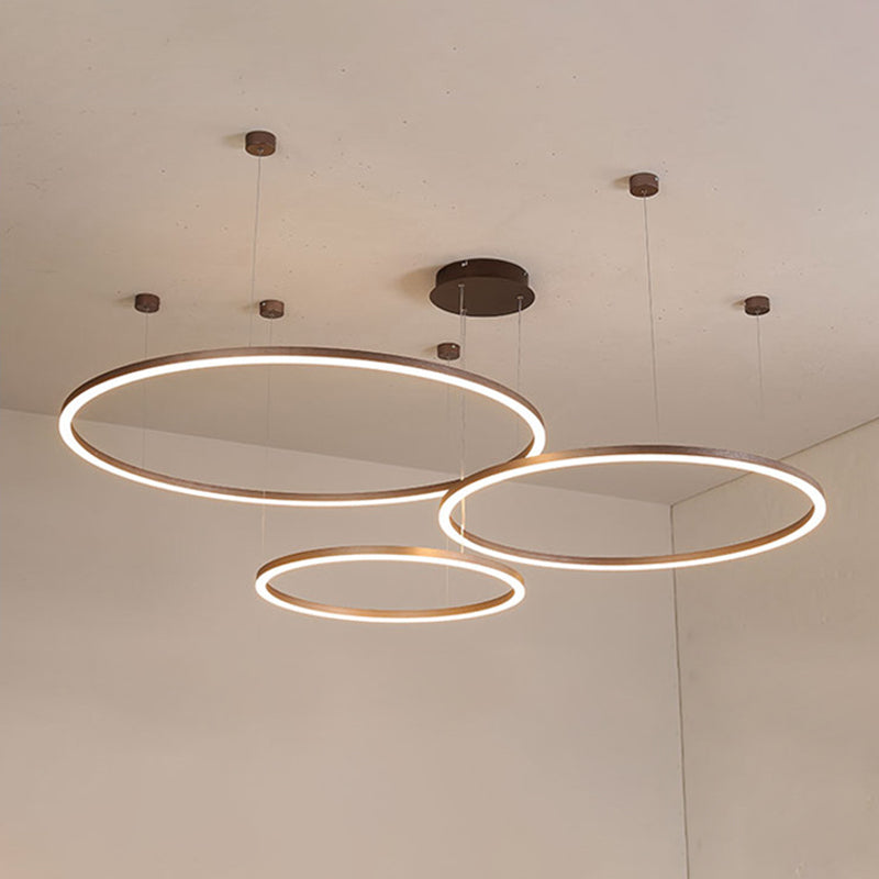 Modern Orbicular Pendant Lighting Fixtures Metal Pendant Chandelier
