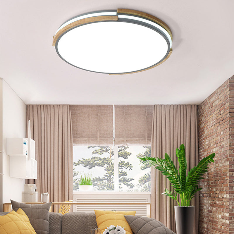 Macaron Thin Round Flush Mount Light Metallic 12.5"/16.5"/20.5" Dia LED Grey/White/Green Ceiling Lamp in Warm/White/Natural Light
